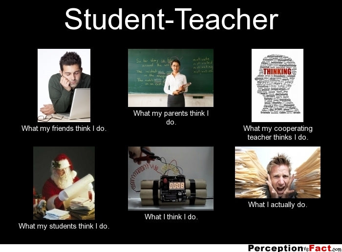 Student Teacher Meme - What You Really Do