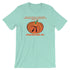 products/funny-pi-day-tee-shirt-math-science-pumpkin-pi-joke-shirt-for-teachers-and-nerdy-gifts-314-heather-mint-5.jpg