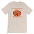 products/funny-pi-day-tee-shirt-math-science-pumpkin-pi-joke-shirt-for-teachers-and-nerdy-gifts-314-soft-cream-4.jpg