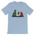 products/mexican-flag-book-shirt-for-spanish-teachers-light-blue-6.jpg