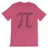 products/pi-day-shirt-with-the-numbers-of-pi-for-math-teachers-and-math-nerds-heather-raspberry-10.jpg