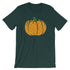 products/pumpkin-pi-shirt-for-pi-day-math-teacher-gift-idea-forest-3.jpg