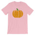 products/pumpkin-pi-shirt-for-pi-day-math-teacher-gift-idea-pink-8.jpg