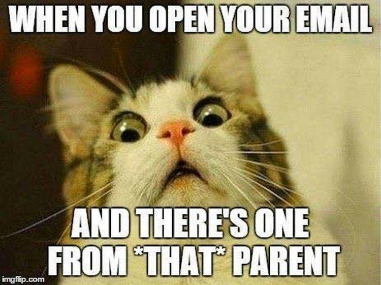 Teacher Meme - That Parent Emailing Fear