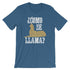 products/como-se-llama-shirt-funny-spanish-teacher-gift-with-dad-jokes-steel-blue-4.jpg