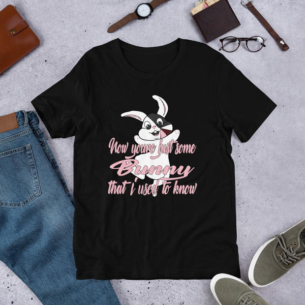 Cute Easter Bunny Shirt Inspired by Song Lyrics-Faculty Loungers