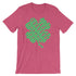 products/fun-saint-patricks-day-tee-i-pinch-back-funny-shirt-for-st-patricks-day-heather-raspberry-8.jpg