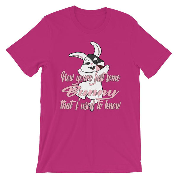 Funny Gotye Easter Meme T-Shirt-Faculty Loungers