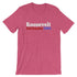 products/historical-election-shirt-for-teachers-theodore-roosevelt-charles-w-fairbanks-1904-heather-raspberry-10.jpg