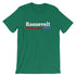 products/historical-election-shirt-for-teachers-theodore-roosevelt-charles-w-fairbanks-1904-kelly-5.jpg