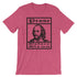 products/prose-before-bros-shakespeare-meme-shirt-heather-raspberry-8.jpg