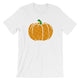 Pumpkin Pi Shirt for Pi Day - Math Teacher Gift Idea